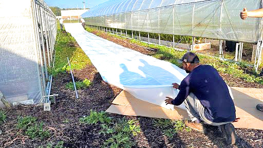 Rolling out the clear poly sheet.