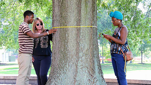 VSU students learn about forestry and proper tree management and care.