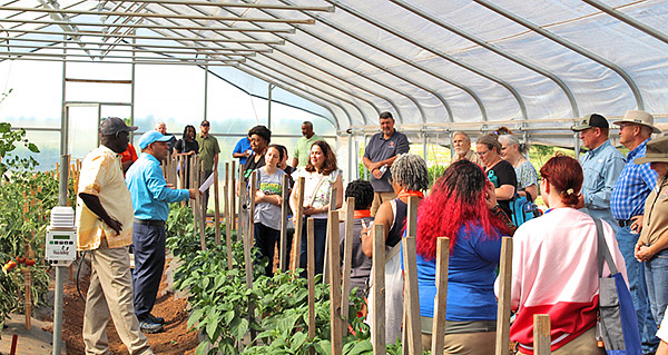 People gather in a high tunnel at field day.