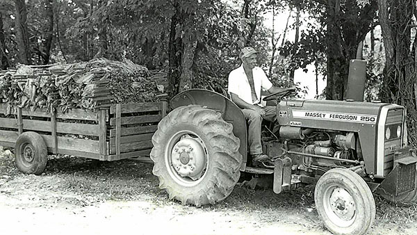 Roy Robertson on tractor.