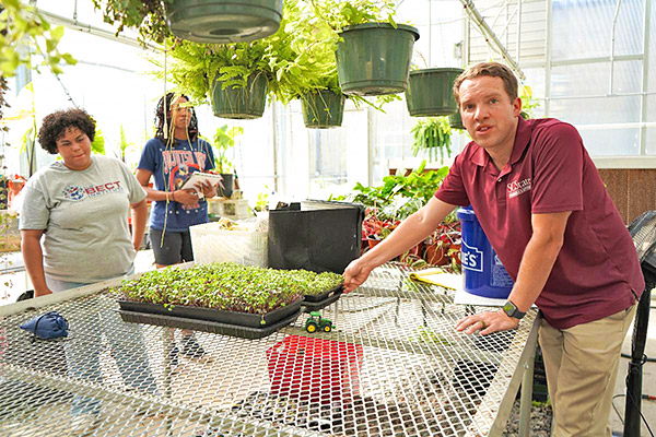 Group works with hydroponic system.