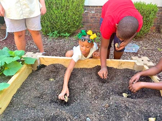 Students planting in the garden bed.