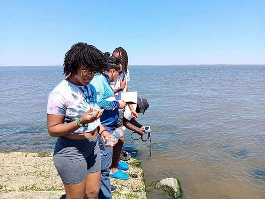 Delaware State University students spend a day at Woodland Beach saltmarsh and wetlands.