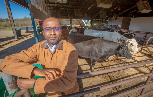 Uchenna Anele, Ph.D., tests essential oils and plant nutraceuticals that will improve gut health in cattle.