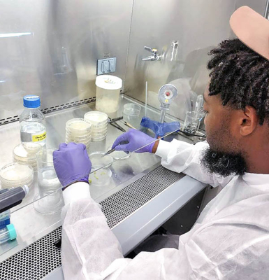 Student conducts research.