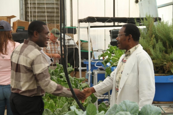 Dr. Akotsen-Mensah visited Dr. Jonathan Egilla's greenhouse to learn more about hydroponic and aquaponic systems for production of vegetables at Carver Farm.