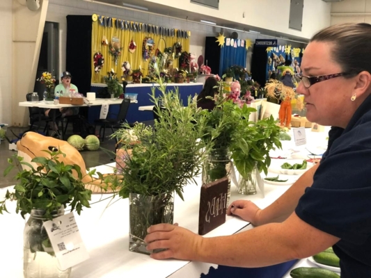 Megan Pleasanton judges herbs at the Delaware State Fair.