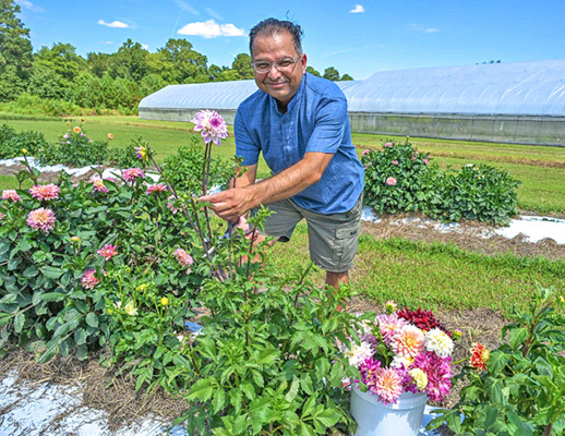 Dr. Naveen Kumar Dixit with perennial dahlias.