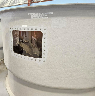 Channel catfish in an aquaponic system.