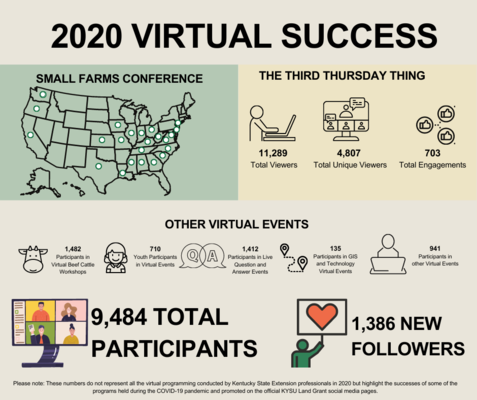 Virtual Success Infographic