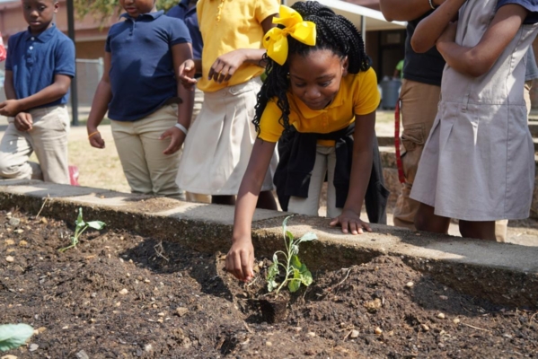 A young student places a plant in the garden.
