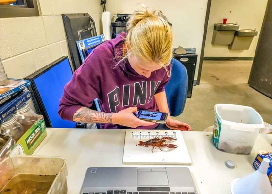 Abby Wilbers, a graduate student studying aquaculture at Lincoln University, photographs and records size and weight of sample specimen.