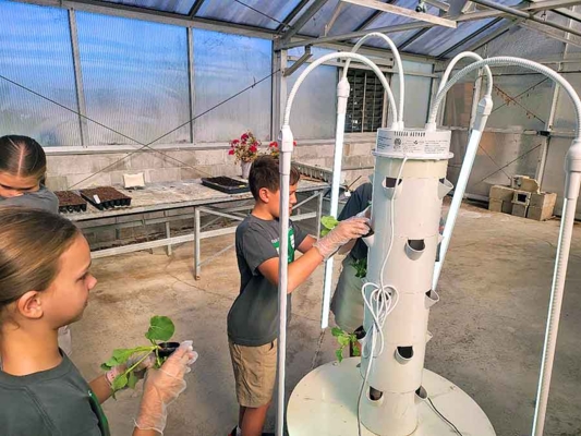 Hydroponics system with students.
