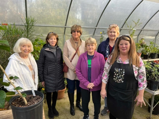 Tree Amigos volunteers with Angie Patten.