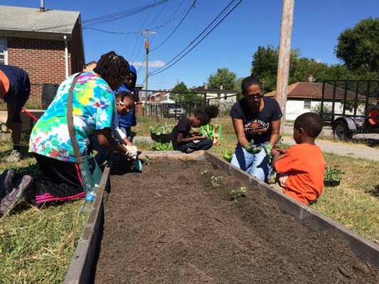Virginia State University’s staff and Petersburg community members clear the row beds.