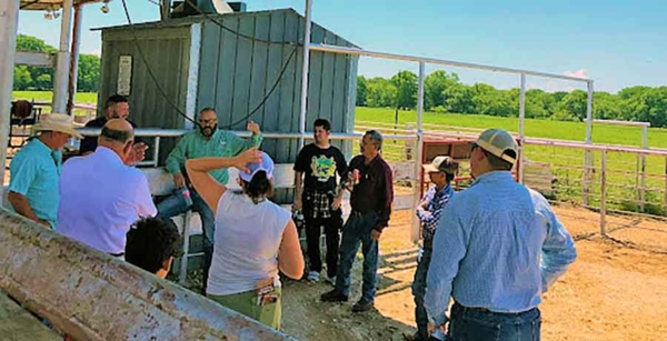 Community members participate in cattle clinic.