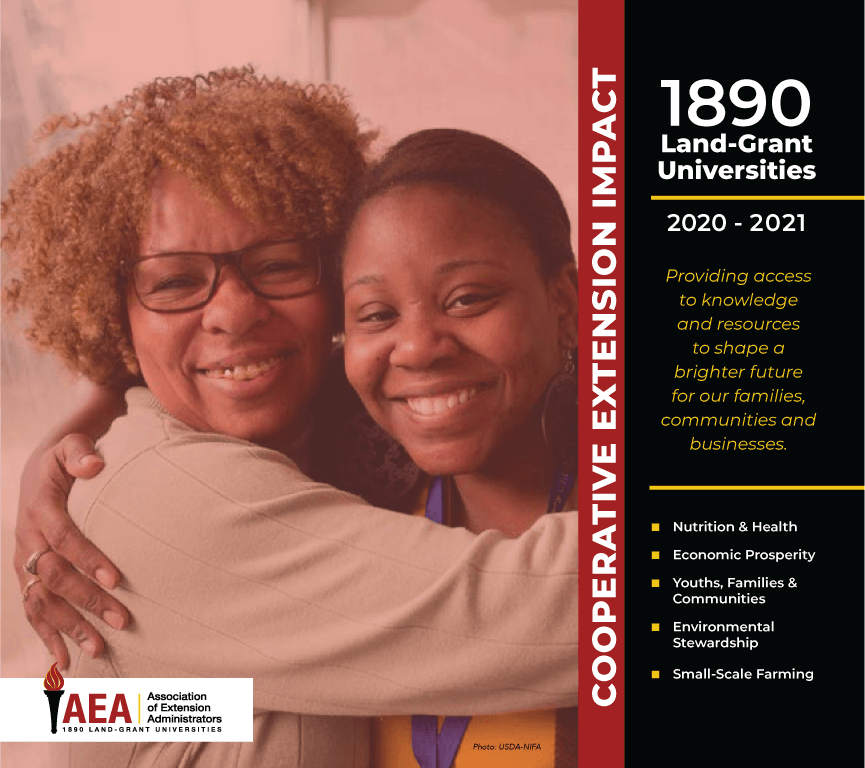 AEA-impact-statement-2018_cover.png