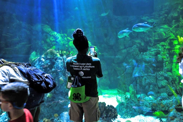 Student at aquarium.